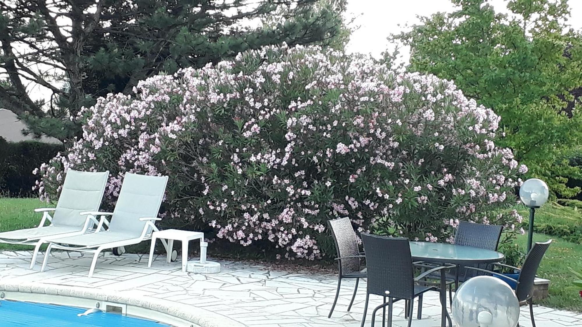 Biviers Villa Avec Vue מראה חיצוני תמונה
